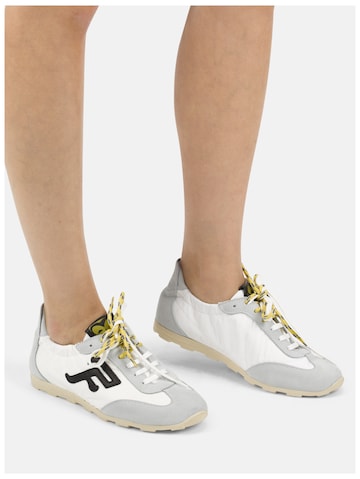 FELMINI Sneakers laag in Grijs: voorkant