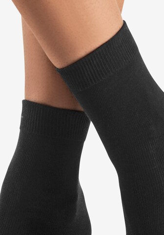 LASCANA Socken in Schwarz