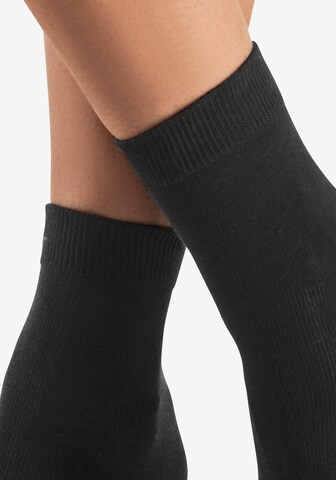 LASCANA Socks in Black