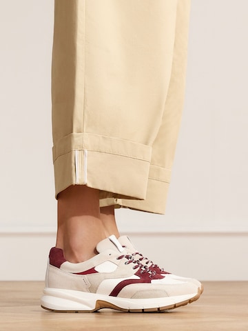 Baskets basses MANFIELD en beige : devant