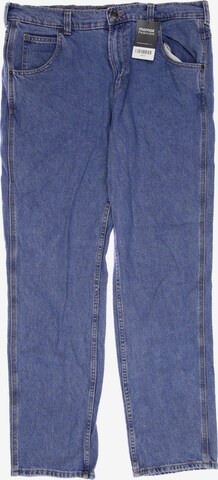 DICKIES Jeans in 34 in Blue: front