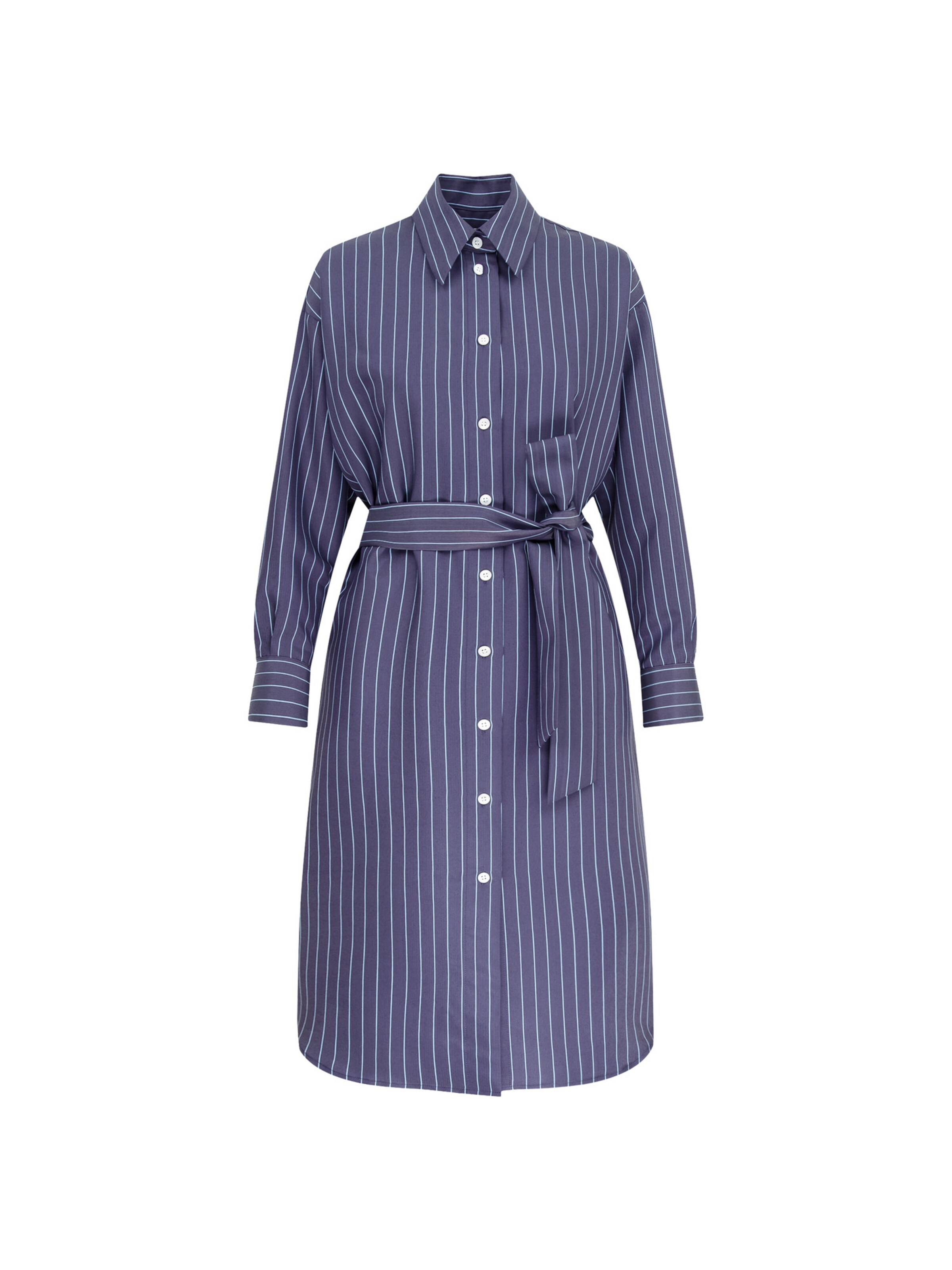 SEIDENSTICKER Kleid 'The Statement Prints' in Blau: Vorderseite