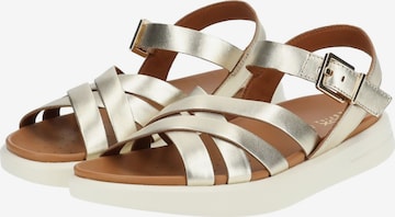 GEOX Sandalen met riem in Goud