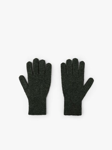Scalpers Full Finger Gloves in Green
