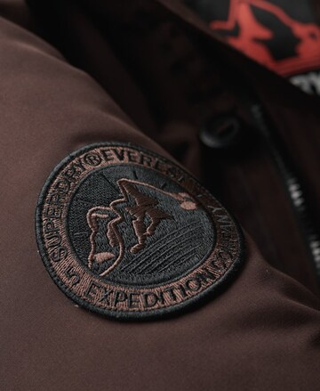 Parka d’hiver Superdry en marron