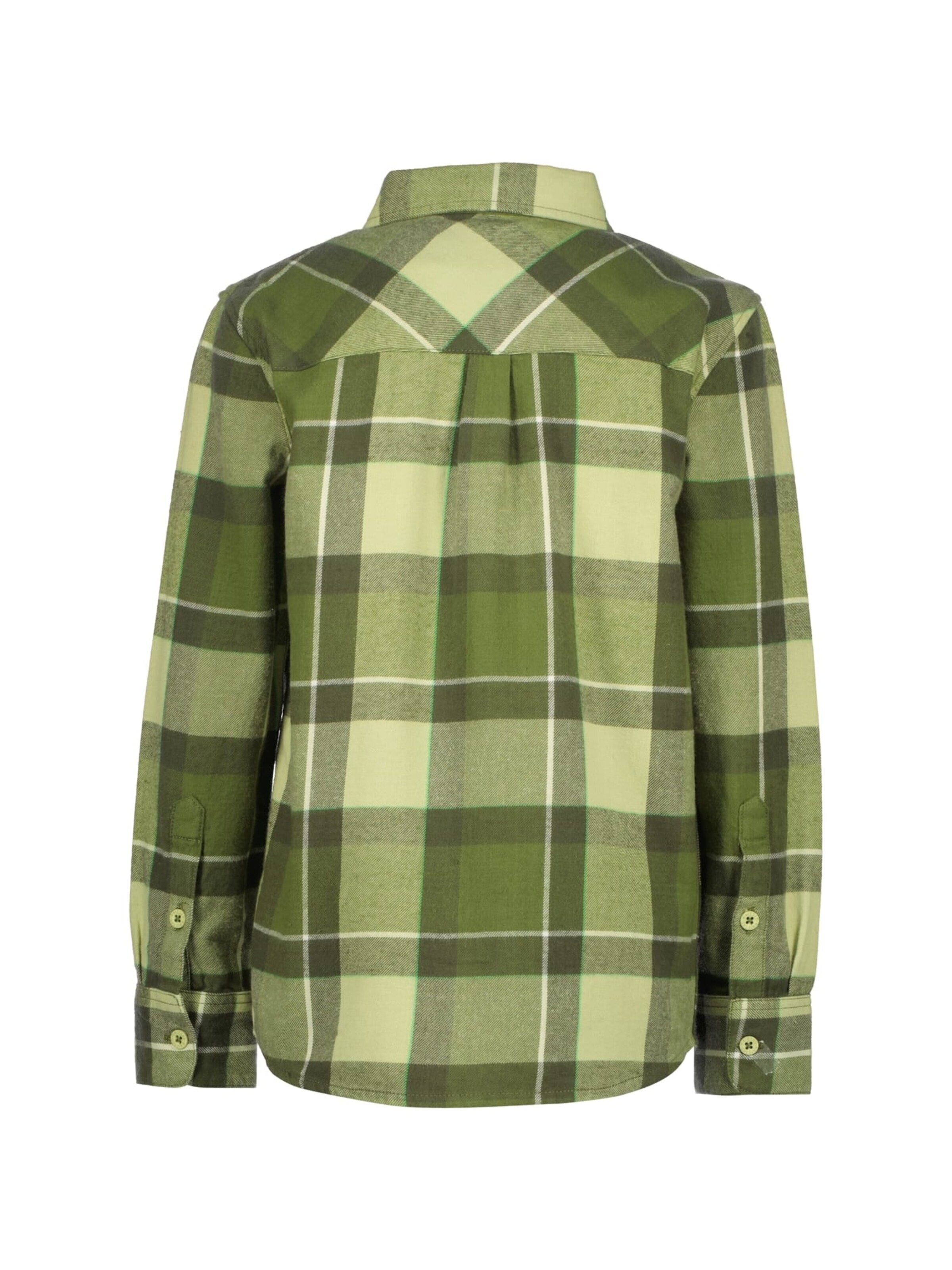 Raizzed Comfort fit Overhemd in Groen