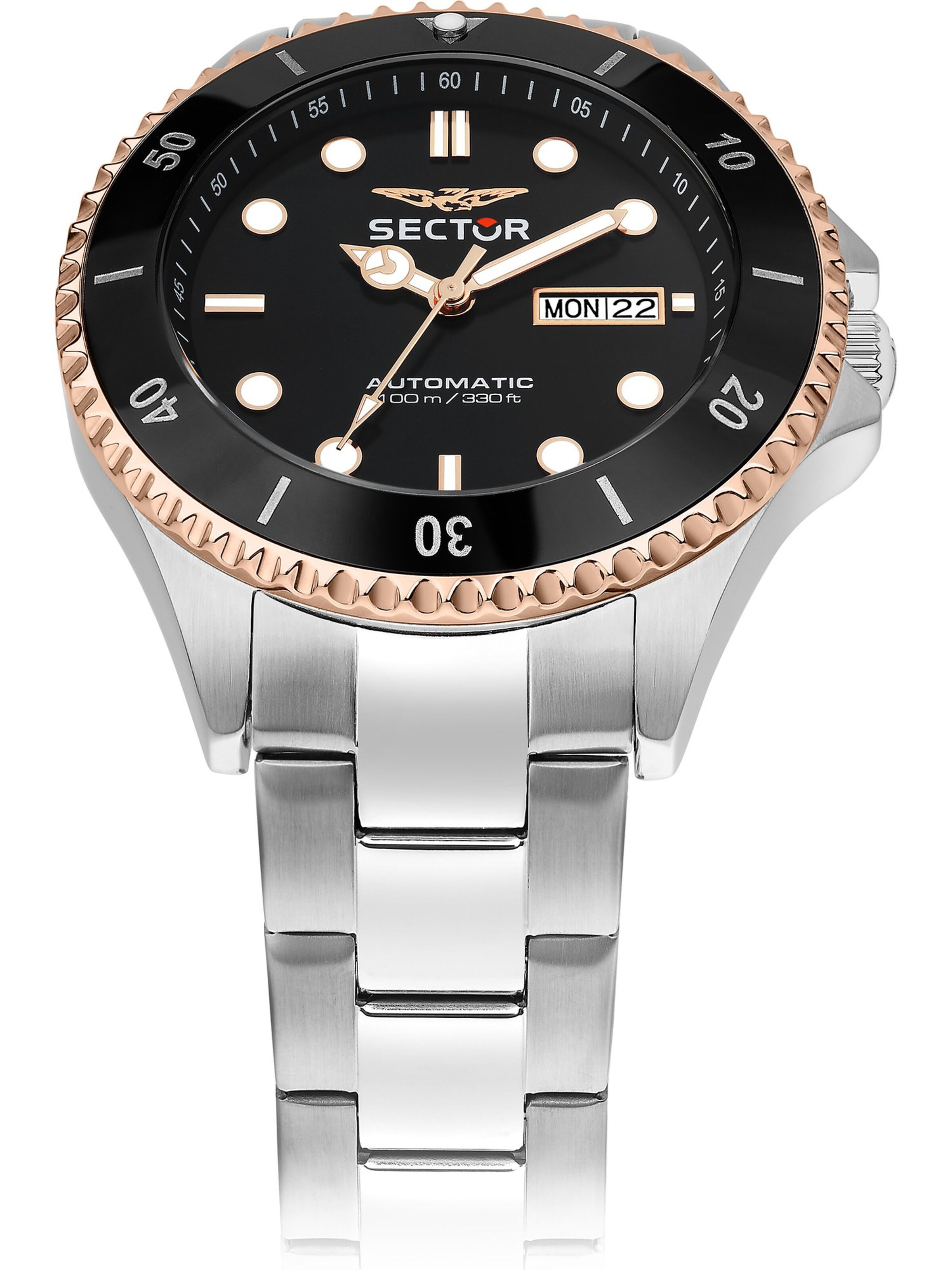 SECTOR Analog Watch in Silver