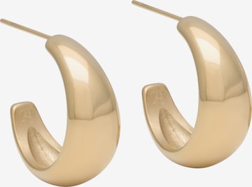 Boucles d'oreilles 'Steel - Soft Coll' A&C Oslo – Nordic Design Jewellery en or : devant