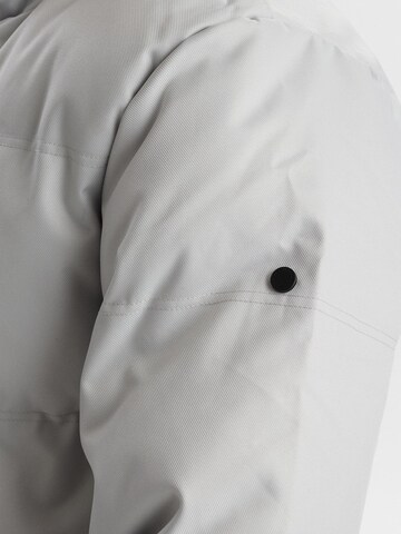 Dxnmxrk Winter jacket 'DXDown' in Grey
