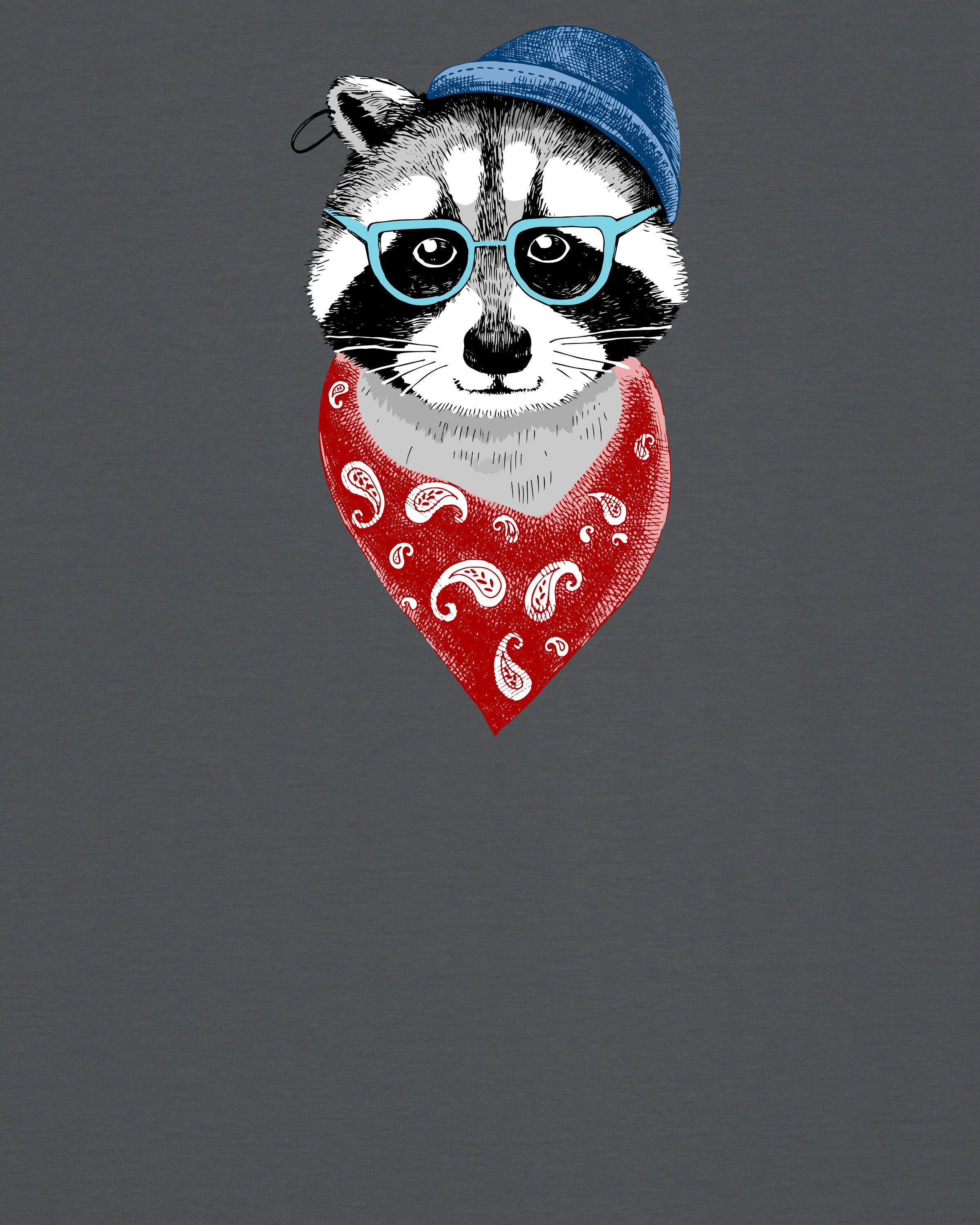 Watapparel Shirt 'Waschbär' in Grey