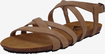 Sandales 'Mam Vali' Plakton en beige : devant