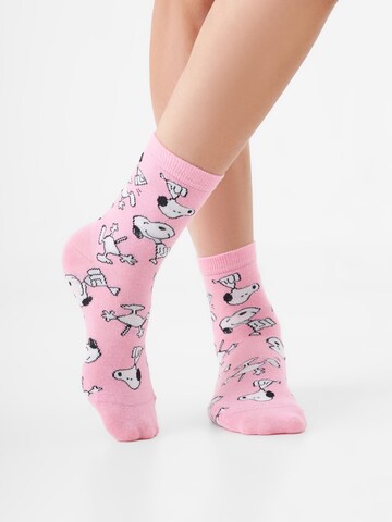 Chaussettes CODELLO en mélange de couleurs