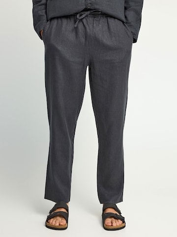 Funky Buddha Loosefit Housut värissä harmaa: etupuoli