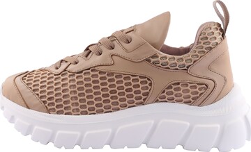 D.MoRo Shoes Sneakers in Brown