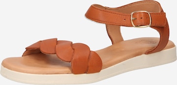 Apple of Eden Sandals 'Inez 10' in Brown: front