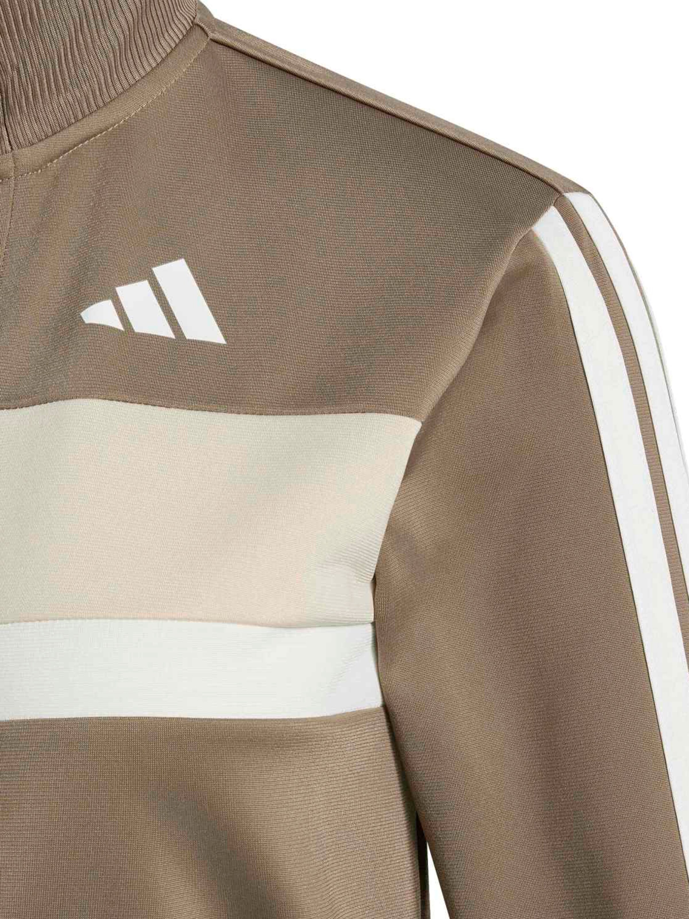 Survêtement 'Seasonal Essentials Tiberio' ADIDAS SPORTSWEAR en vert