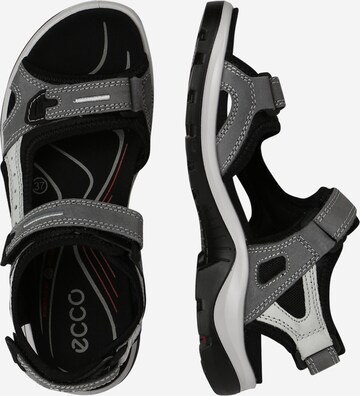 ECCO Hiking Sandals 'Offroad' in Grey