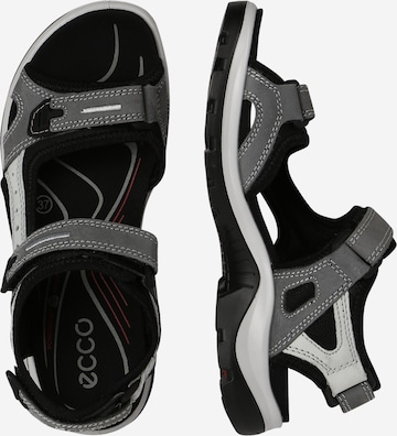 ECCO Wandelsandalen 'Offroad' in Grijs