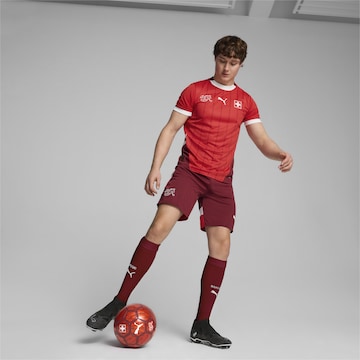 PUMA Regular Sports trousers 'Schweiz' in Red