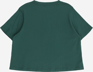 ELLESSE Shirt 'Ciciano' in Groen