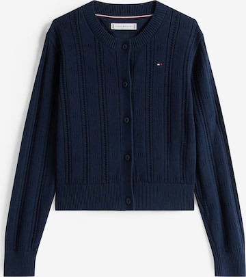 TOMMY HILFIGER Вязаная кофта в Синий: спереди