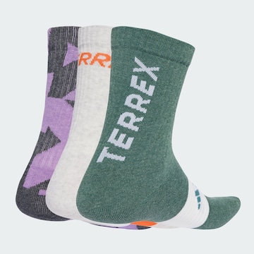 Chaussettes de sport ADIDAS TERREX en gris