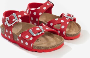 Bayton Sandalen 'Pegase' in Rood