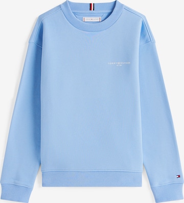 mėlyna TOMMY HILFIGER Megztinis be užsegimo: priekis