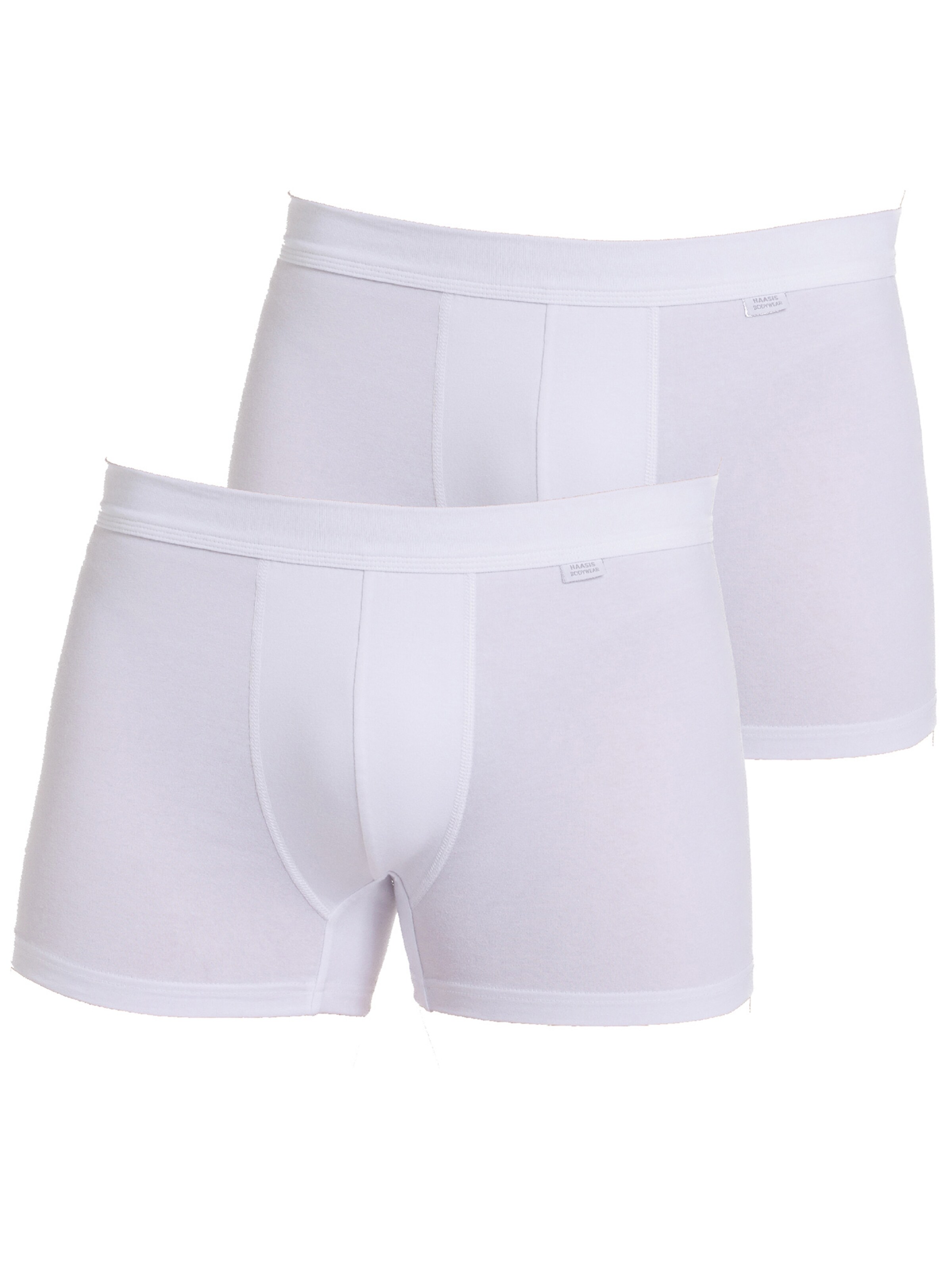 Haasis Bodywear Panty in White: front