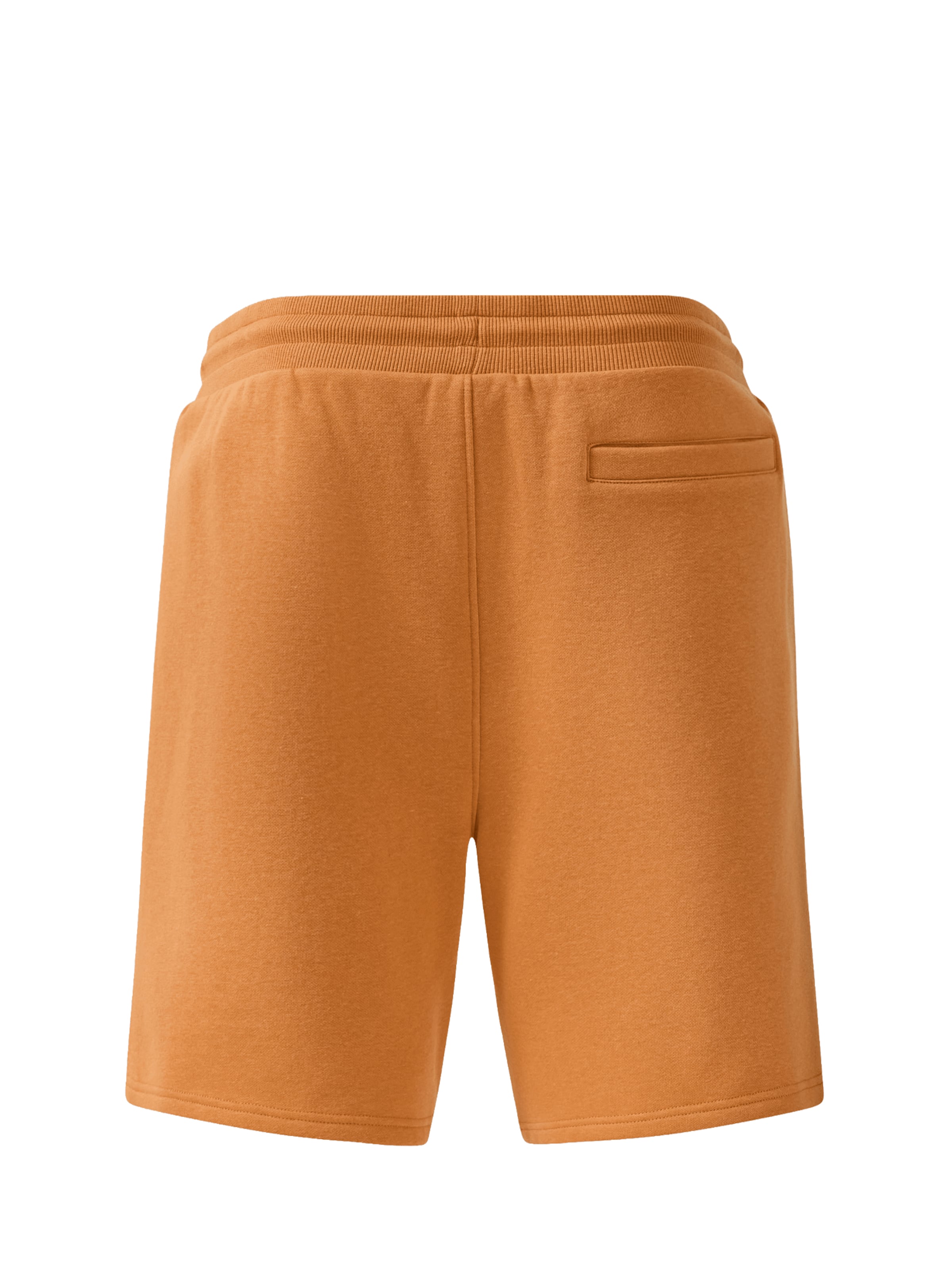 FC BAYERN MÜNCHEN Regular Shorts 'Spring' in Braun