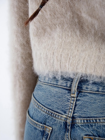 Dr. Denim Trui 'Moira' in Grijs