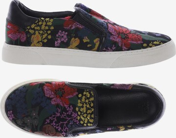 Erdem Sneaker 37 in Mischfarben: predná strana