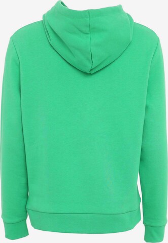 Zwillingsherz Sweatshirt 'Tiana' i grön