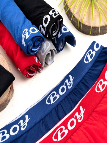 LOREZA Underpants 'Jungen Boxershorts Finn' in Mixed colours