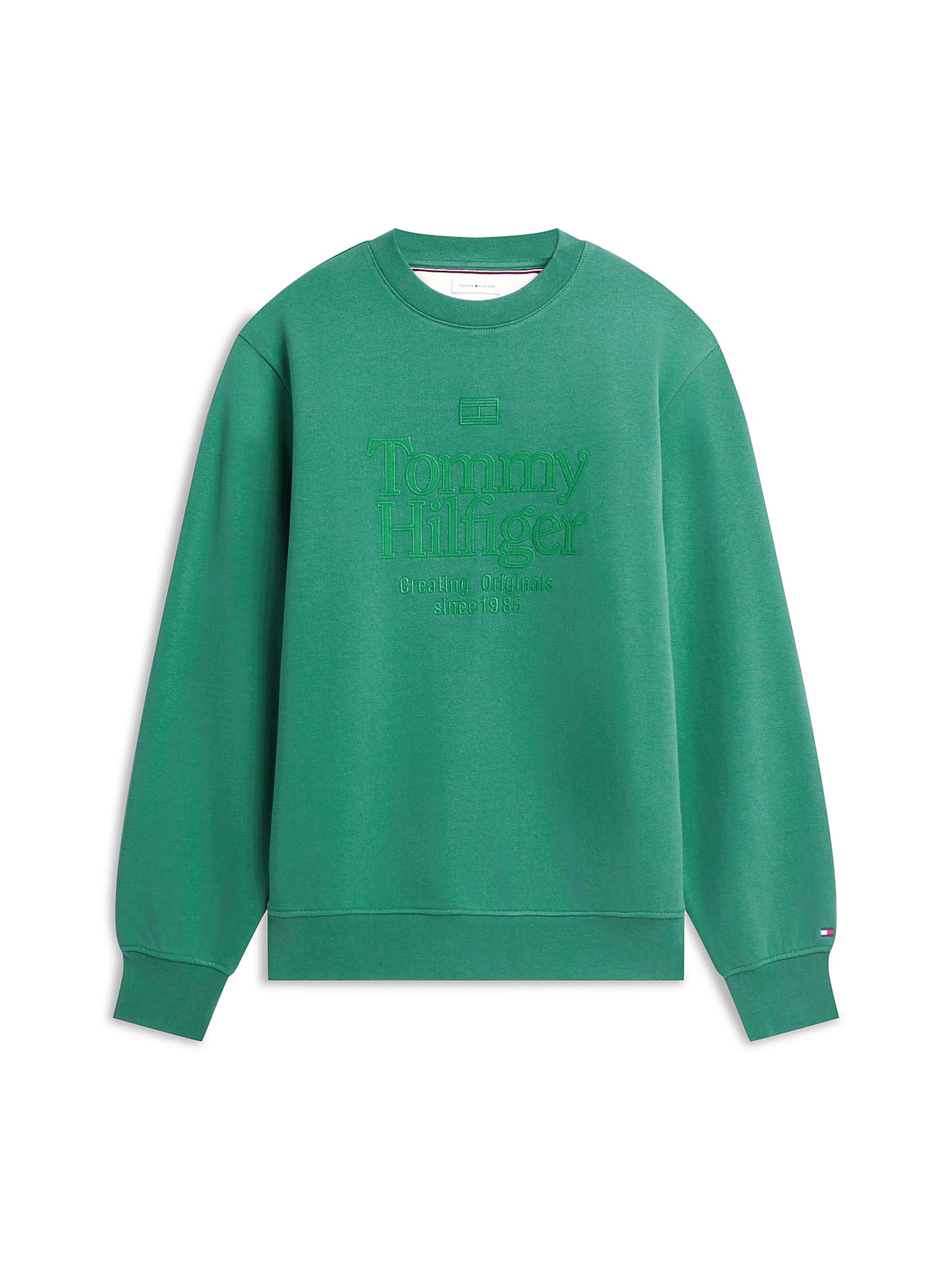 TOMMY HILFIGER Sweatshirt 'Terry' in Green: front