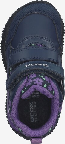 GEOX Halbschuh in Blau