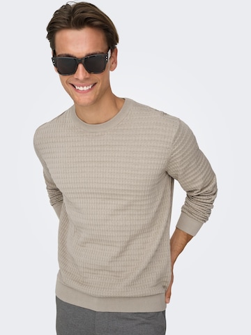 Only & Sons - Jersey 'ONSBerry' en gris