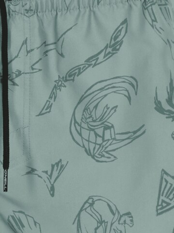 Pantaloncini da surf di O'NEILL in verde