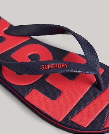 Superdry Zehentrenner in Blau