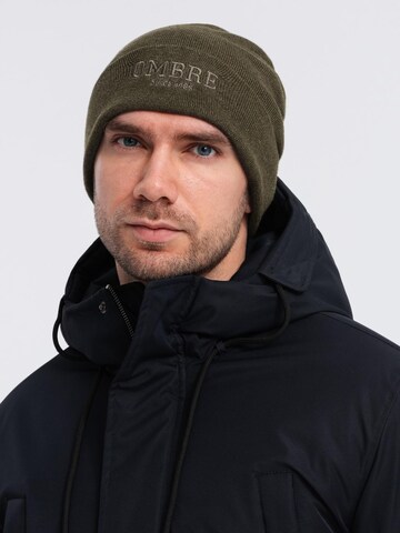 Ombre Beanie 'ACWH-0120' in Green