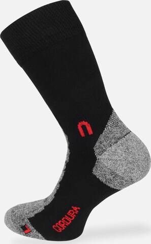 normani Sportsocken in Schwarz