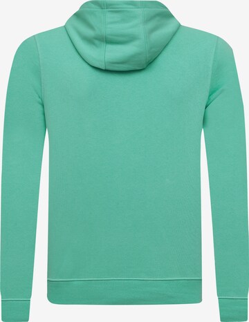 DENIM CULTURE Sweatshirt in Green