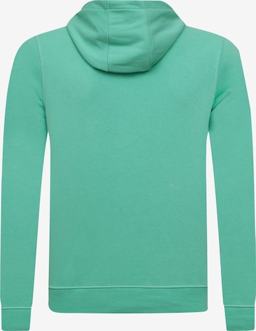 Sweat-shirt DENIM CULTURE en vert