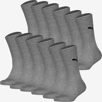 PUMA Socks in Grey: front