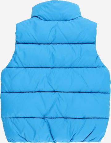 TOMMY HILFIGER Vest, värv sinine