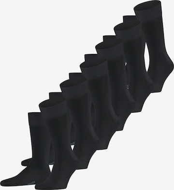 FALKE Socken 'Happy 6-Pack' in Schwarz: Vorderseite