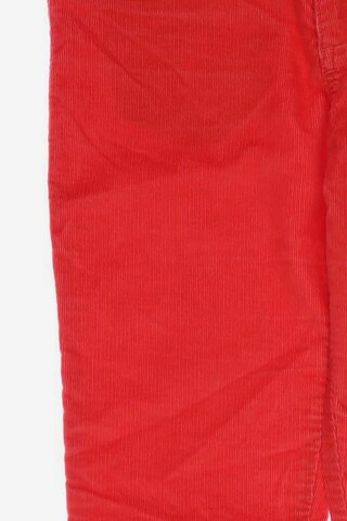 HOLLISTER Stoffhose S in Rot