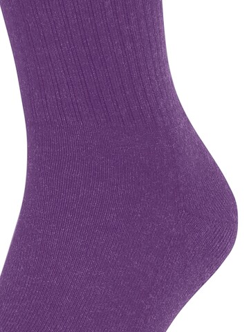 FALKE Socks 'Dynamic' in Purple
