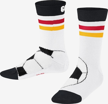 FALKE Socks 'Active Soccer' in White: front