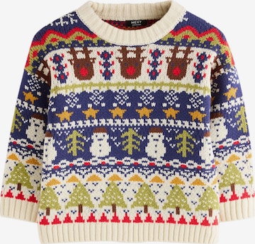 mišri Next Megztinis: priekis